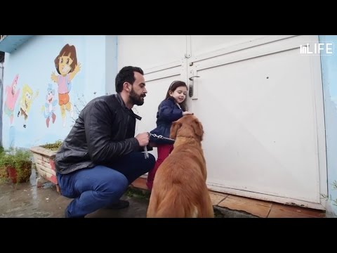 Life is better with friends - Perse duhet te mbajme kafshe shtepiake