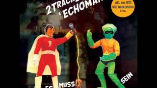 2Trackboy & Echomann - Wieeinhurensohn (feat. Fleur Earth & C:Mone)
