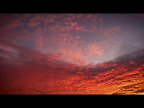 David Haerle - The Free Show (Official Music Video)