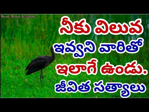 Life quotations|famous quotations| jeevitha satyalu| motivational quotes|Manchi Maatalu by Srilatha|