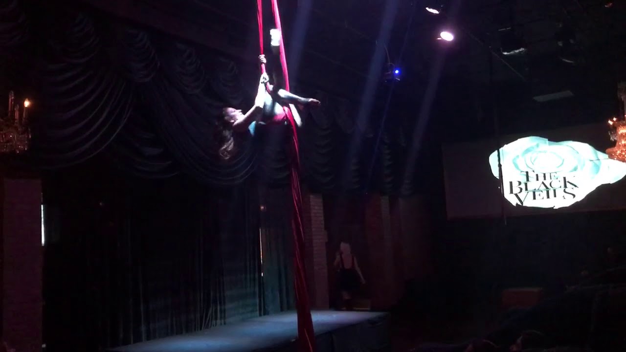 Promotional video thumbnail 2 for Aerial Butterflies