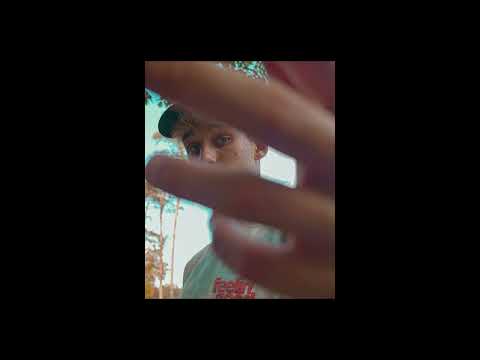 Paliseq American Dream 1wersja