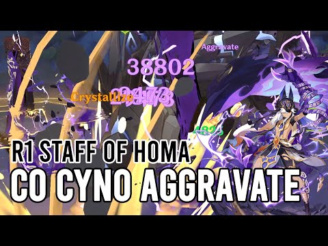 C0 Cyno Aggravate R1 Staff of Homa Quick Showcase | Genshin Impact