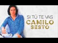 Camilo Sesto - Si Tú Te Vas