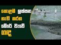hathai-kala-16-08-2018