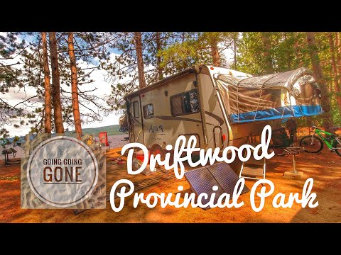 image-Are dogs allowed at Driftwood Provincial Park?