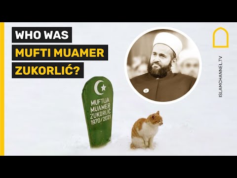Who was Mufti Muamer Zukorlić?
