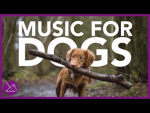 15 HOURS of The Best Music for Dogs! Chill Your Dog and Help Sleep!