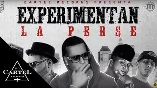 Daddy Yankee Ft. Farruko Benni Benny Gotay Pusho - Experimentan La Perse (Audio Oficial)