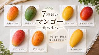 7種類のマンゴーを食べ比べてみた #台湾 #果物 #フルーツ #台湾観光 #マンゴー