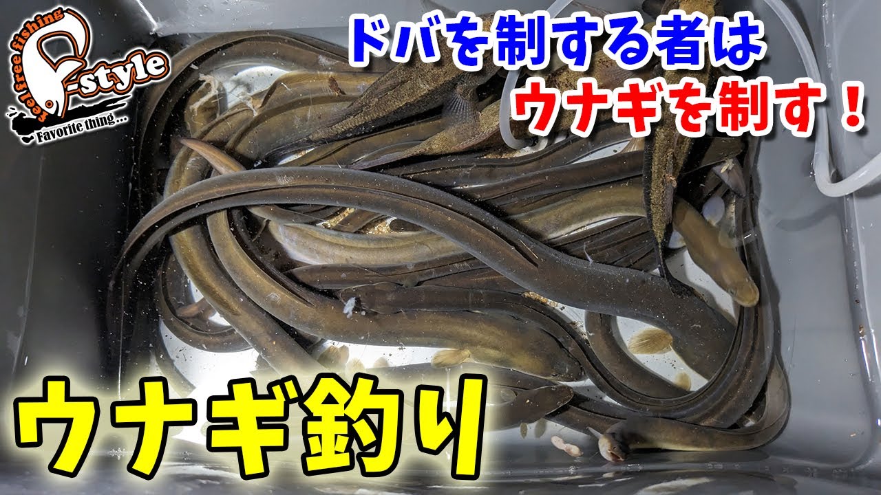 ８年間、温存していたウナギポイントに久々に釣りに行ってみたら…