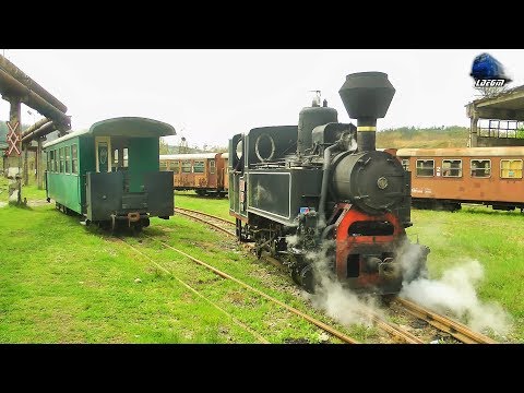 Mocanita 764-243 CFI Steam Loko/Damfplok la Manevra/Shunting in Depoul Criscior Depot 21 April 2017