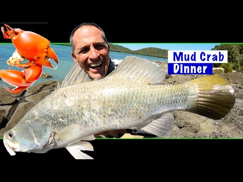 2 Day Mothership - Rock Fishing - Epic fish action - Mud Crabs - Catch & Cook - Day 1 - EP.581
