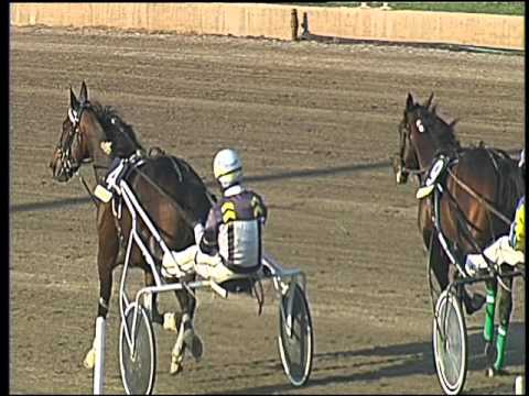 Trotto 06/05/2016 - 8° Corsa TRIS