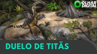 Miniatura do vídeo
