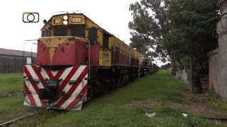 preview picture of video 'Tren de Belgrano Cargas y Logística pasando por El Tío'