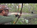 Two Bears in Two Days Off the Ground with a Recurve