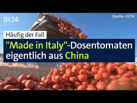 Tomatoes "made in Italy" actually from China – and in German supermarkets | Abendschau | BR24