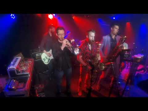 Octave Cat "Heart-Shaped Box" 3.16.2019