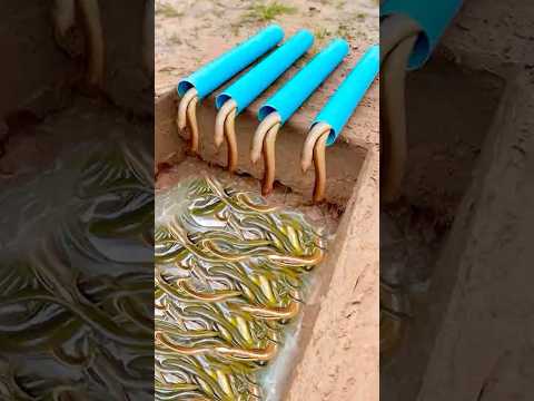 CRAZY EEL Catching SECRETS Revealed!