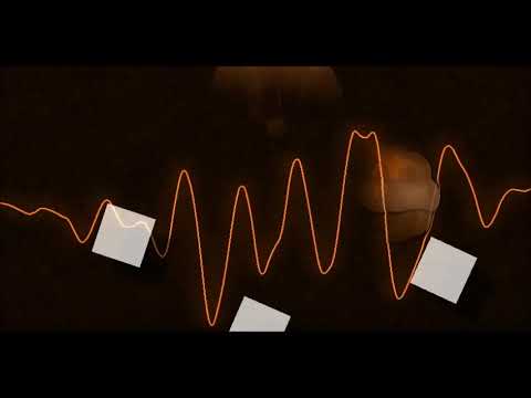 Yaminahua vs Calyptratus - Inenarrata fabula