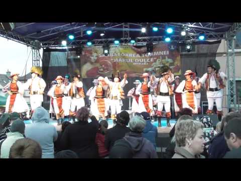 Ansamblul Magura Codlei !