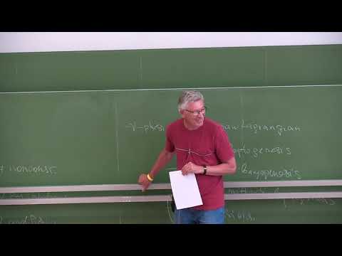 Mikhail Shaposhnikov (EPFL Lausanne): Baryogenesis and Leptogenesis - Lecture 1