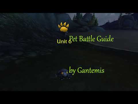 How to beat Unit 6 pet battle