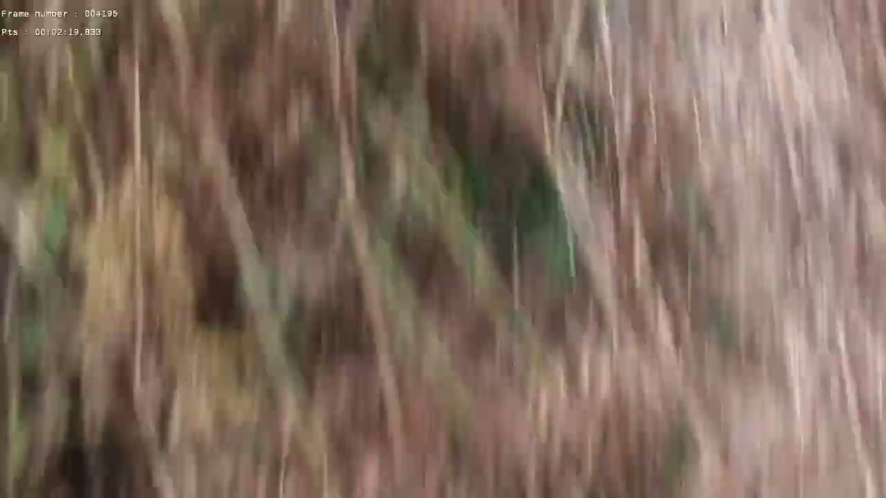 Clearing of the Bucks