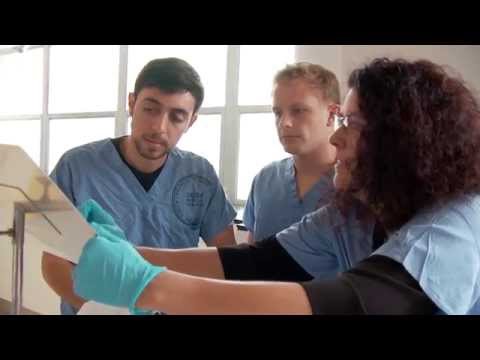 Dr. Susan Masters - UCSF Bridges Curriculum - YouTube