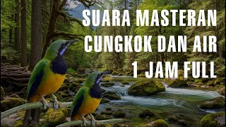 Download lagu masteran murai batu , cungkok full 1jam tanpa jeda dengan air mengalir mp3 Download lagu masteran murai batu , cungkok full 1jam tanpa jeda dengan air mengalir mp3