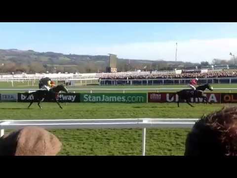The Druid's Nephew was a well backed winner at Cheltenham