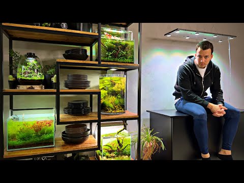 THE BIG SHALLOW IS GONE...