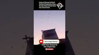 Download lagu Suara Panggil Burung Walet Terbaik mp3