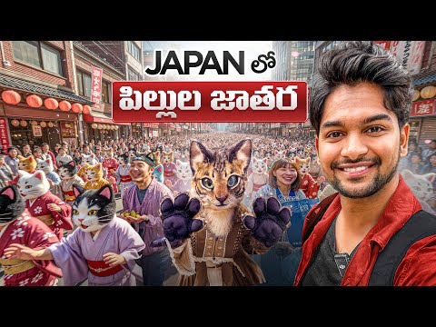 Crazy Cat Festival in Japan 2025