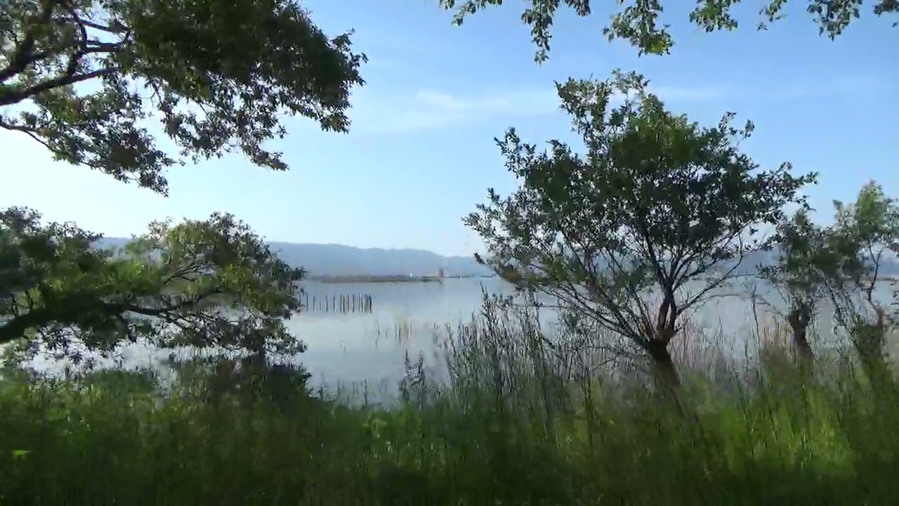 Lake Biwa-Shin-Asahi Garden, Shin-Asahi Town, Takashima City琵琶湖ー高島市新旭町新旭園地201805撮影