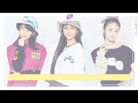 Neko Neko Nihonshi Yume demo Ii no Team Syachihoko