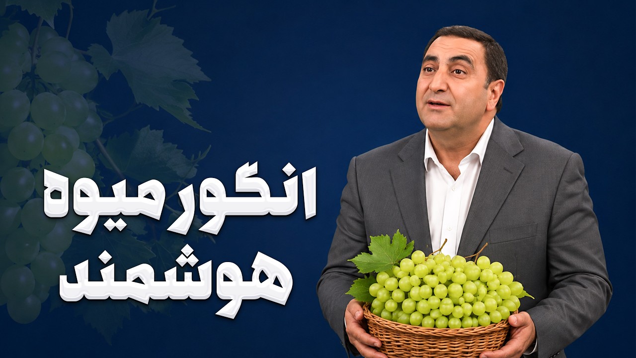 راز درمان نقرس و اسید اوریک با انگور! / پاک‌سازی کبد چرب و کلیه در طب سنتی
