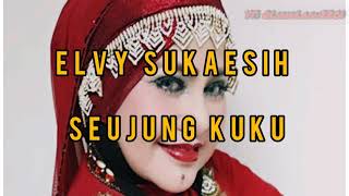 Download lagu lirik Lagu Seujung Kuku Elvy Sukaesih... mp3