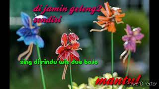 Download lagu Sing di rindu wis due bojo 2020 serr mp3