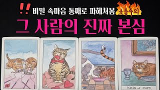 [타로] 🚨소름주의‼️그 사람 나를 향한 진짜 본심😲 지금속마음, 관계흐름, 다음행동 딱! 집어 알려드려요🔥