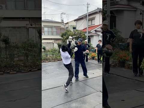 少しずつガードが出来てくるせんどー①
