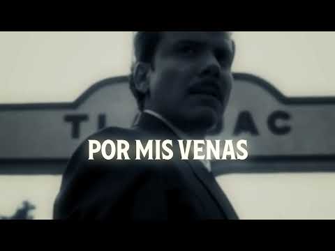 Simpson Ahuevo, Los de la 4 - Entre Las Nubes (Letra Oficial)