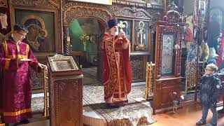 Крестный ход и проповедь в Неделю 4-ю по Пасхе, о расслабленном 07-05-2023
