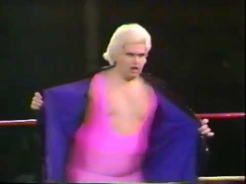 Michelle Starr v CW Bergstrom
