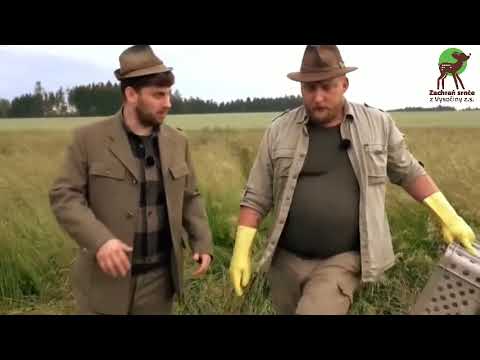 Zachraň srnče z Vysočiny - nedovolme další SRNOSEČ