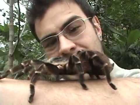 Clipe Promocional - Programa Território Animal