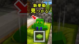 ついに新挙動、隠し秘密基地が作れるように【マイクラ】