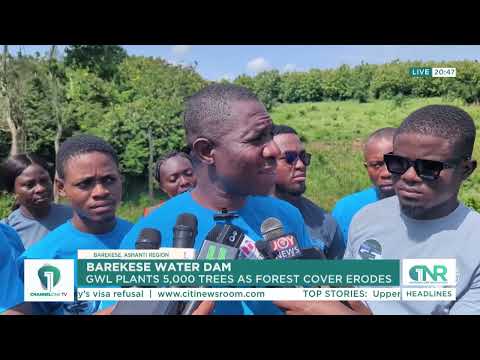 Barekese Dam Under Threat as Forest Destruction Intensifies in Ashanti Region | Channel One News