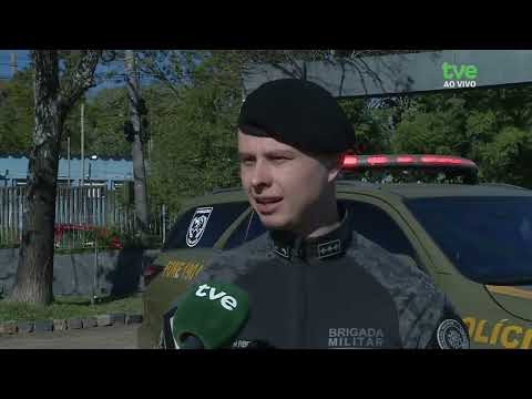 Eles salvam vidas: conheça os cães heróis da Brigada Militar